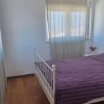 Rent 2 bedroom apartment of 80 m² in lisbon