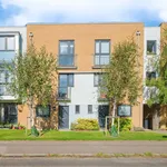 Rent 4 bedroom flat in Cambridge