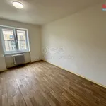 Rent 1 bedroom apartment of 20 m² in Ostrava