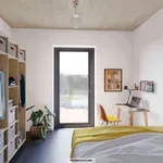 Rent a room of 119 m² in berlin