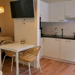 Rent 1 bedroom apartment of 646 m² in The Hague