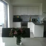 Rent 1 bedroom apartment in Geel