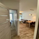 Rent 2 bedroom apartment of 47 m² in Katowice