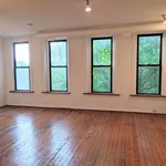 Rent 1 bedroom apartment in Chicago