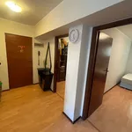 Rent 2 bedroom apartment of 45 m² in Szczecin