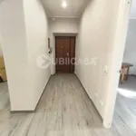 Rent 3 bedroom apartment of 100 m² in Velletri