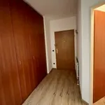 Rent 3 bedroom apartment of 95 m² in Linz