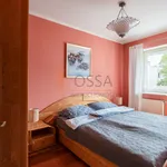 Rent 3 bedroom apartment of 85 m² in Sopot