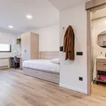 Alquilar 1 dormitorio apartamento en santander