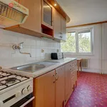 Rent 3 bedroom apartment of 54 m² in Brno