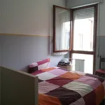 Rent 2 bedroom apartment of 30 m² in Padova 