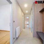 Rent 2 bedroom apartment of 69 m² in Brno