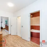 Rent 3 bedroom apartment of 78 m² in Capital City of Prague