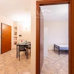 Rent 1 bedroom apartment of 24 m² in Rome