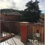 Rent 4 bedroom apartment of 100 m² in Bologna