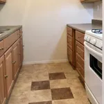 Rent 3 bedroom apartment in BRONX