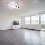 Rent 5 bedroom house in Zruč nad Sázavou