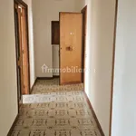 4-room flat corso Padre Giovanni Fiore, Centro, Cropani