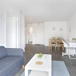  appartement avec 1 chambre(s) en location à Montreal