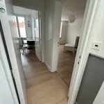 Rent 1 bedroom apartment in Leuven