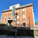 Rent 3 bedroom apartment of 100 m² in Velletri