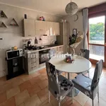 Rent 1 bedroom apartment of 40 m² in Caselle Torinese