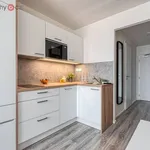 Rent 1 bedroom apartment of 24 m² in Praha