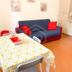 Rent 2 bedroom apartment of 45 m² in Pisa