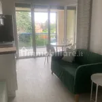 Rent 1 bedroom apartment of 38 m² in Bologna