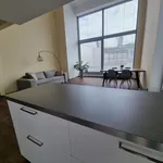 Pronajměte si 3 ložnic/e byt o rozloze 190 m² v Prague