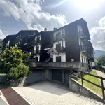 Rent 2 bedroom apartment of 55 m² in Aprica