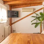 Rent 1 bedroom apartment in madrid