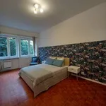 Rent 2 bedroom apartment of 65 m² in Turin