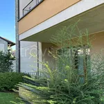 Rent 2 bedroom apartment of 45 m² in Busto Arsizio