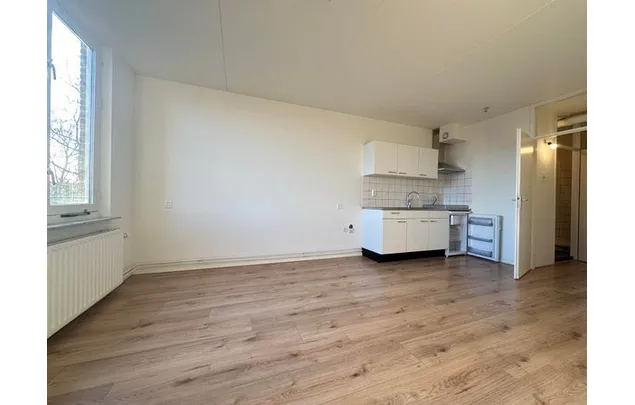 Huur 1 slaapkamer appartement van 30 m² in Breda