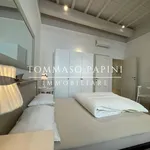 Rent 1 bedroom apartment of 20 m² in Florence