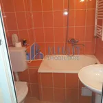 Rent 1 bedroom apartment in Lovnic