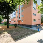 Rent 2 bedroom apartment of 44 m² in Poznan