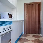 Rent a room in madrid