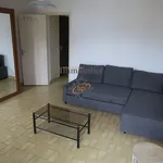 Rent 1 bedroom apartment of 29 m² in Crespin