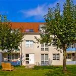 Miete 3 Schlafzimmer haus von 79 m² in Paderborn