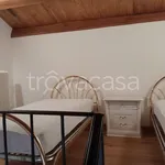 Rent 2 bedroom apartment of 50 m² in L'Aquila