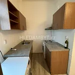 Rent 2 bedroom apartment of 45 m² in Capital City of Prague