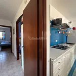 Rent 4 bedroom house of 80 m² in Latina