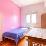 Rent a room in lisbon