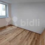 Rent 1 bedroom apartment in Brno