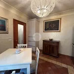 Rent 4 bedroom apartment of 100 m² in Verona