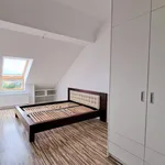 Rent 3 bedroom apartment of 100 m² in Prague