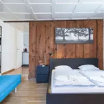 Miete 1 Schlafzimmer wohnung von 28 m² in Zug