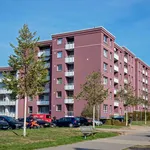 Miete 2 Schlafzimmer wohnung von 55 m² in Monheim